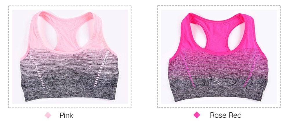 Sports Bra High Stretch Breathable Top Fitness Women Padded for Running Yoga Gym Seamless Crop Bra Gradient Sport Bra Sports Bra High Stretch Breathable Top Fitness Women Padded for Running Yoga Gym Seamless Crop Bra Gradient Sport Bra