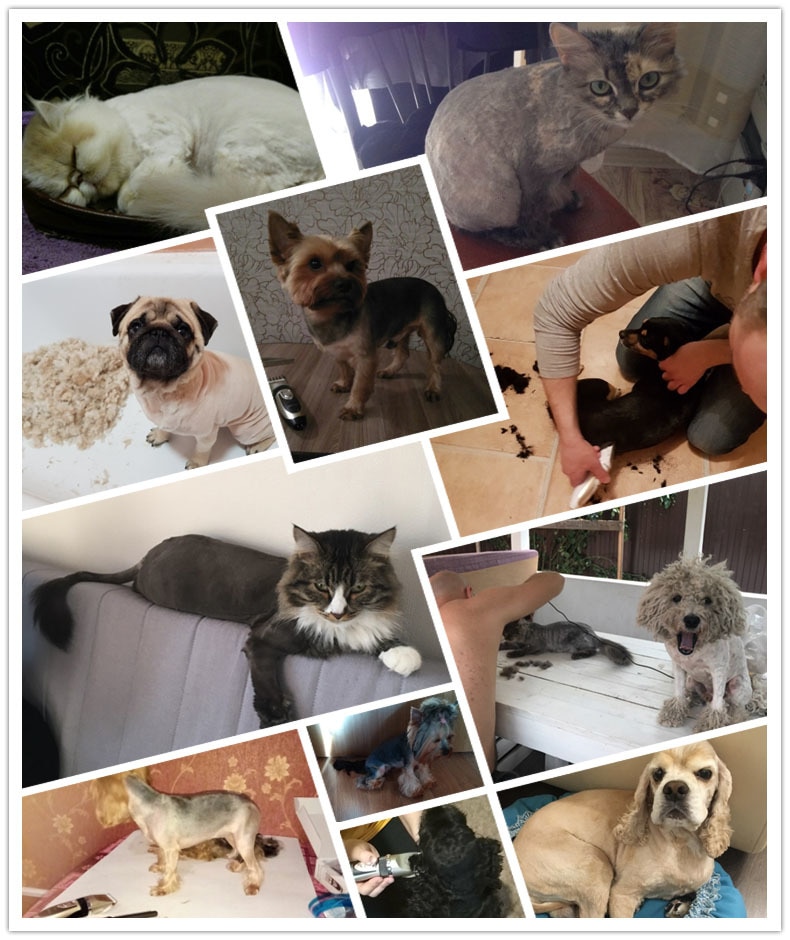 Dog Clipper Dog Hair Clippers Grooming (Pet/Cat/Dog/Rabbit) haircut Trimmer Shaver Set Pets cordless Rechargeable Professional