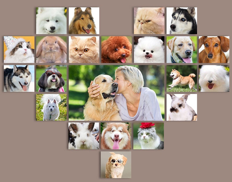 Dog Clipper Dog Hair Clippers Grooming (Pet/Cat/Dog/Rabbit) haircut Trimmer Shaver Set Pets cordless Rechargeable Professional