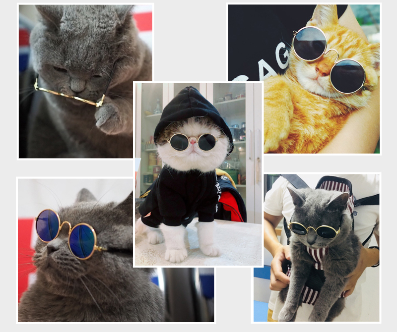 Pet Cat Glasses Lovely Multicolor Sunglasses Products for Little Dog Cat Cool Eye Wear Photos Props Accessories Pet Supplies Toy