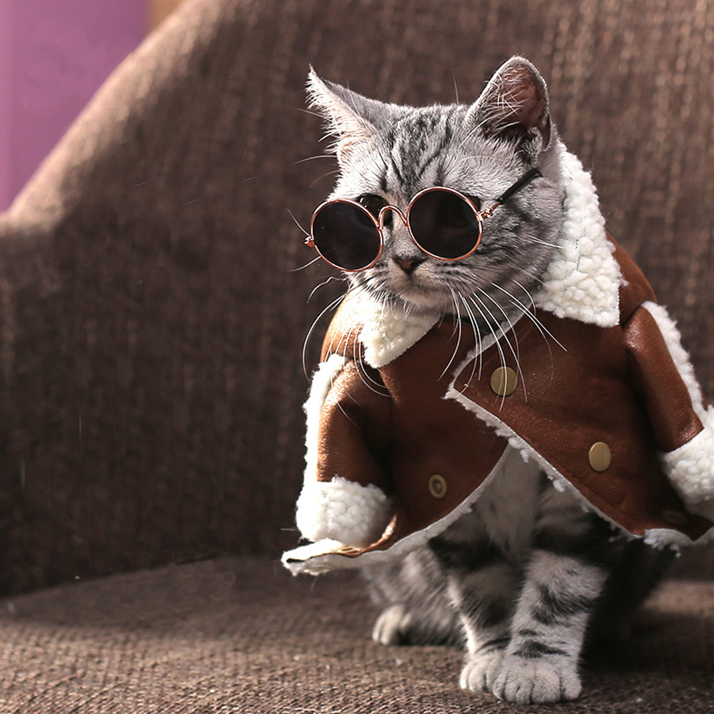 Pet Cat Glasses Lovely Multicolor Sunglasses Products for Little Dog Cat Cool Eye Wear Photos Props Accessories Pet Supplies Toy