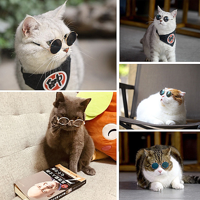 Pet Cat Glasses Lovely Multicolor Sunglasses Products for Little Dog Cat Cool Eye Wear Photos Props Accessories Pet Supplies Toy